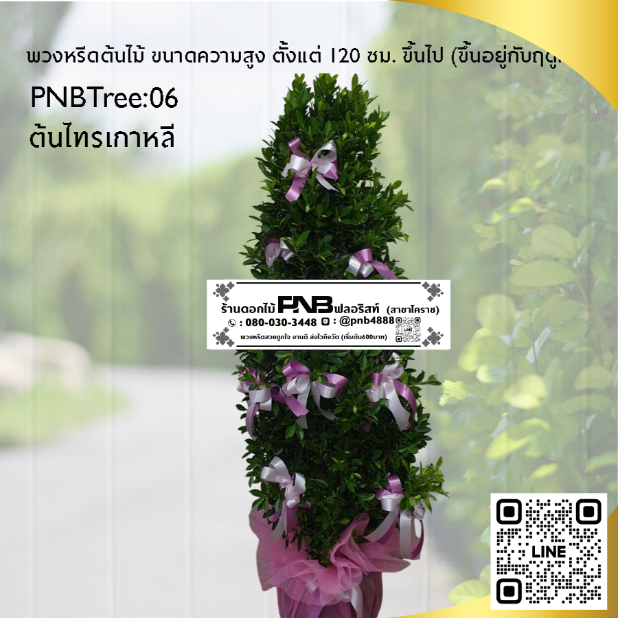 พวงหรีดต้นไม้ ต้นไทรเกาหลี PNBTree06