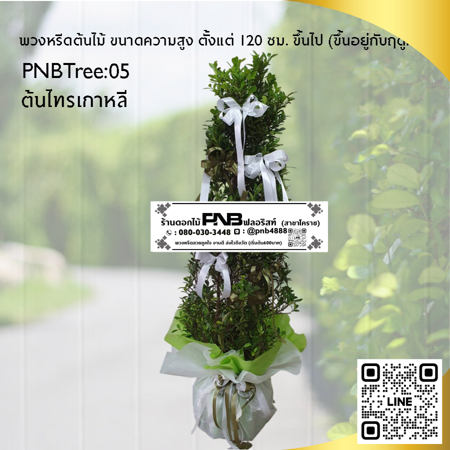 พวงหรีดต้นไม้ ต้นไทรเกาหลี PNBTree05