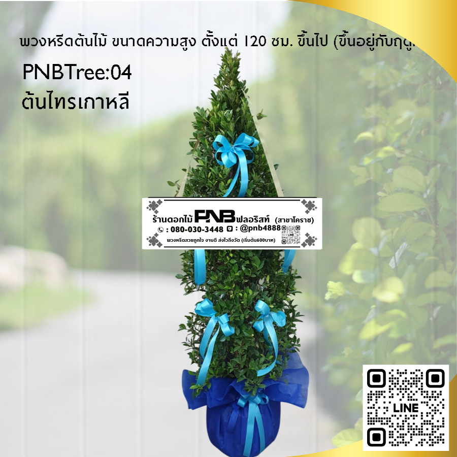 พวงหรีดต้นไม้ ต้นไทรเกาหลี PNBTree04