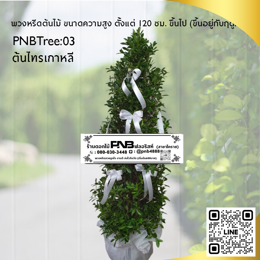 พวงหรีดต้นไม้ ต้นไทรเกาหลี PNBTree03
