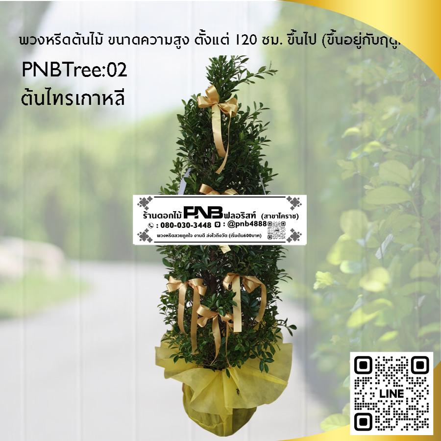 พวงหรีดต้นไม้ ต้นไทรเกาหลี PNBTree02