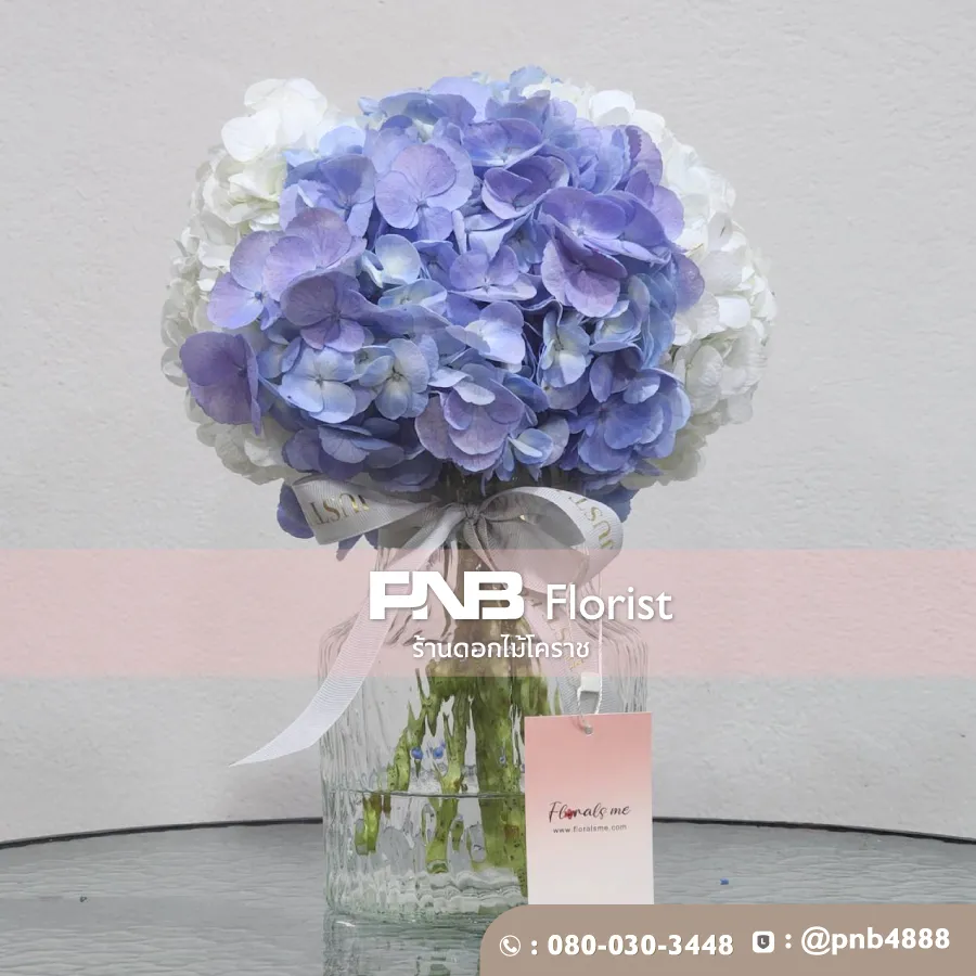 แจกันไฮเดรนเยีย "Little Gem" ความรู้สึกดีๆ แทนความคิดถึง – ร้าน PNB Florist