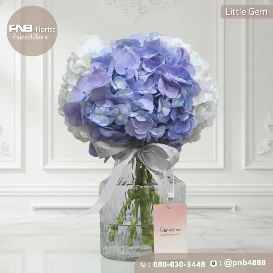 แจกันไฮเดรนเยีย "Little Gem" ความรู้สึกดีๆ แทนความคิดถึง – ร้าน PNB Florist
