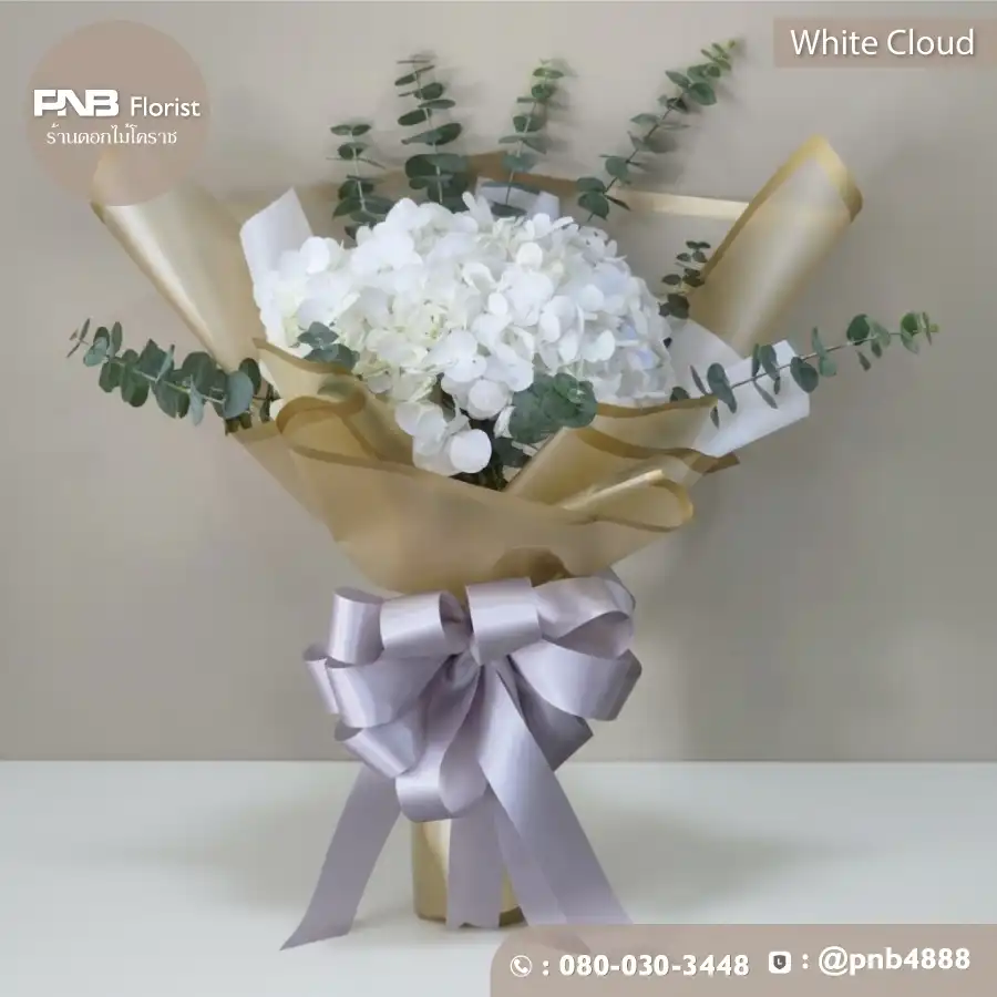 ช่อไฮเดรนเยียขาว "เมฆขาว" (White Cloud)