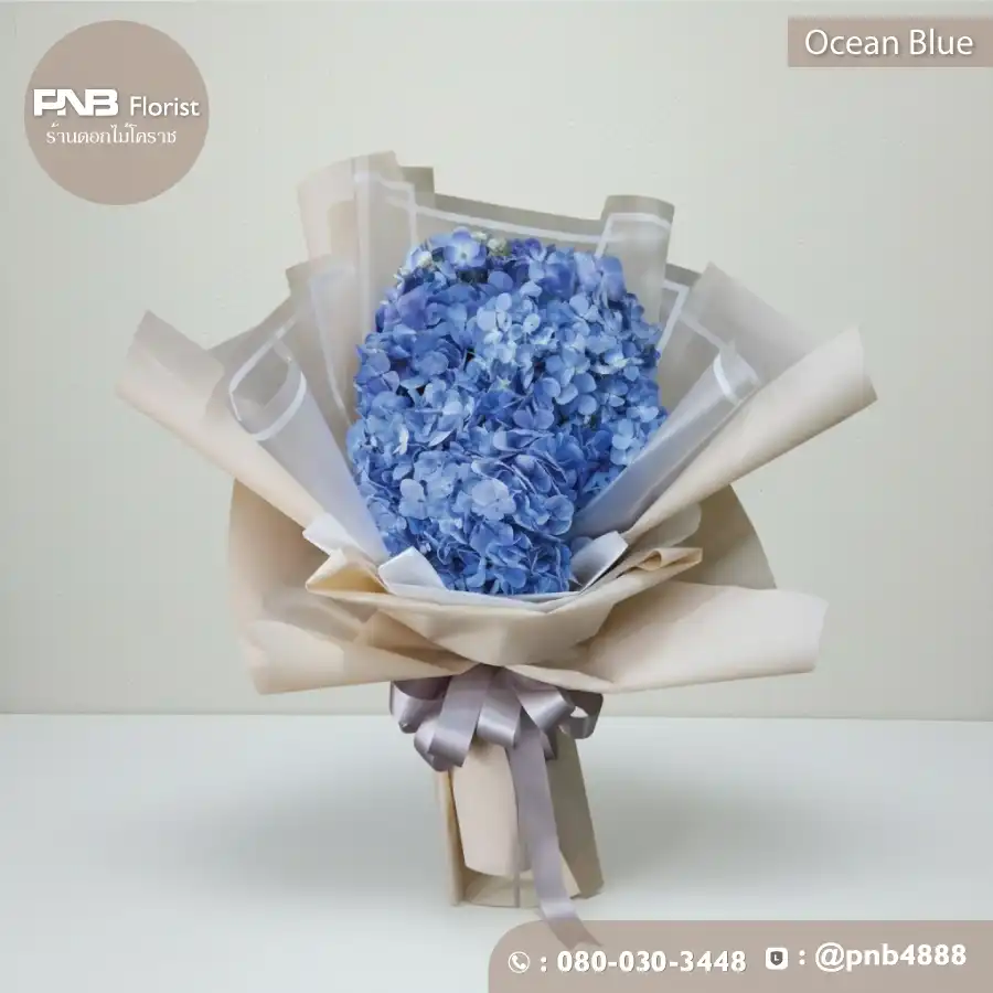 ช่อไฮเดรนเยียฟ้า "โอเชี่ยน" (Ocean Blue)